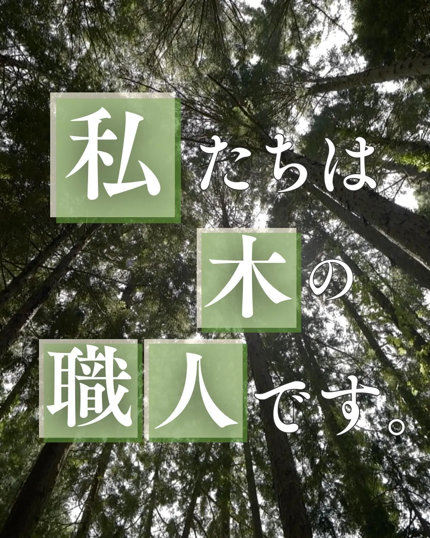私たちは木の職人です。
