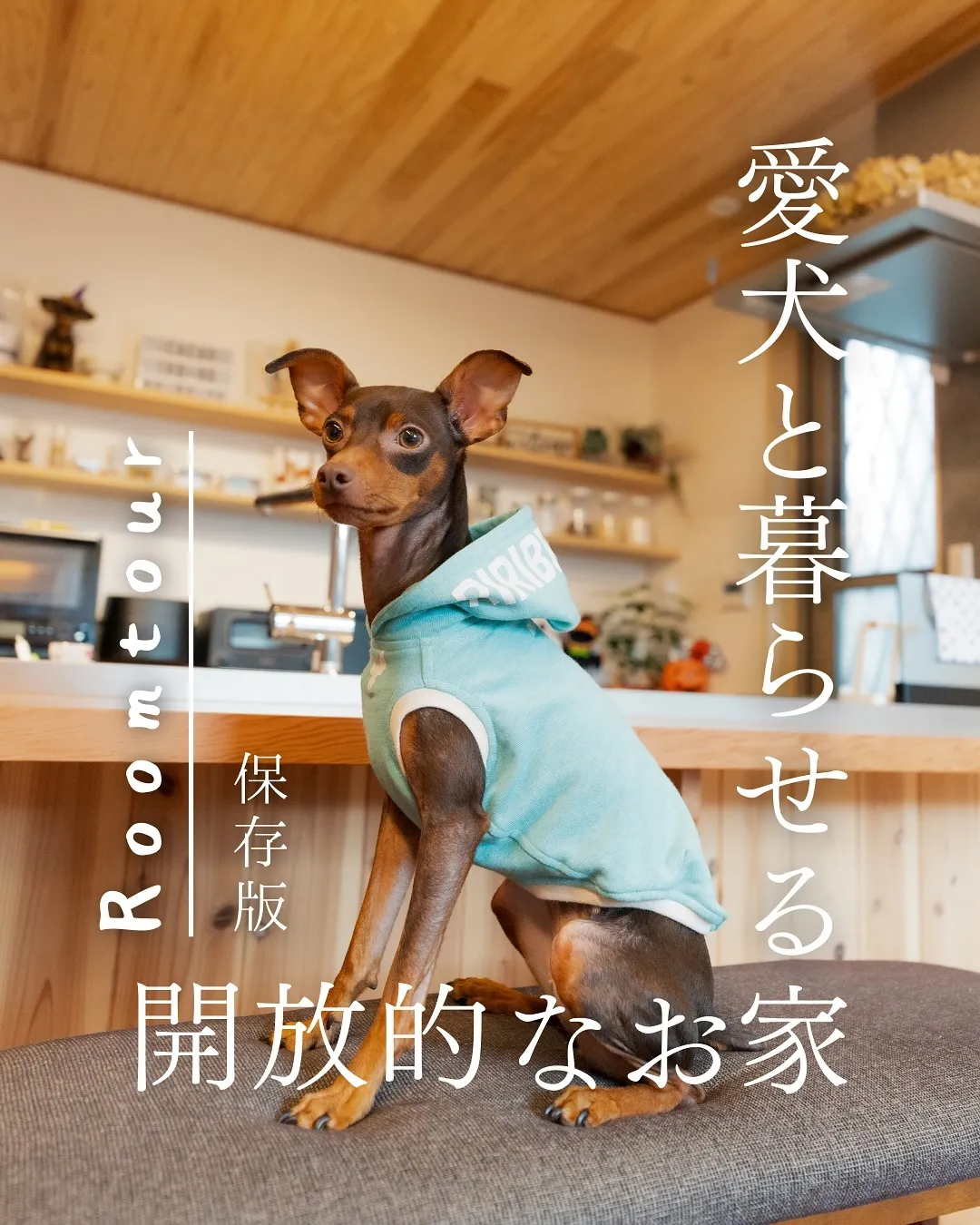 ドッグランが広がる