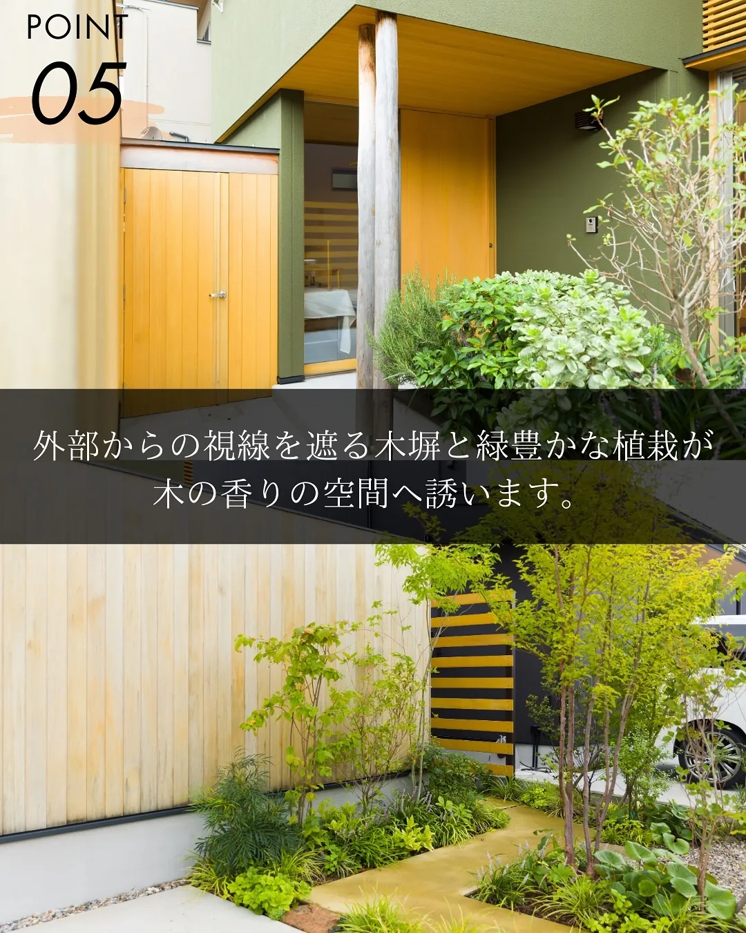 ドッグランが広がる